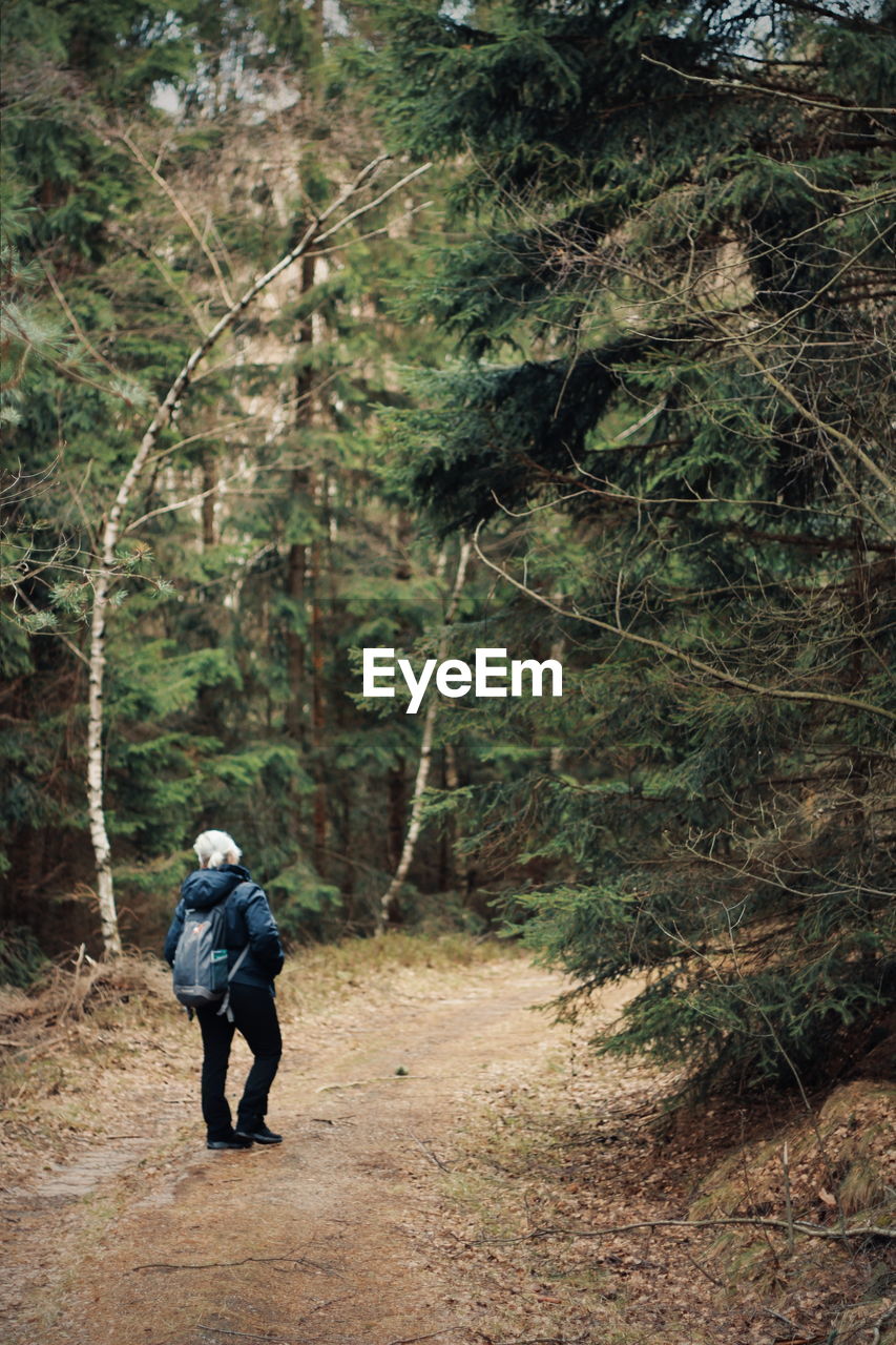 Rear view of woman walking on footpath in forest