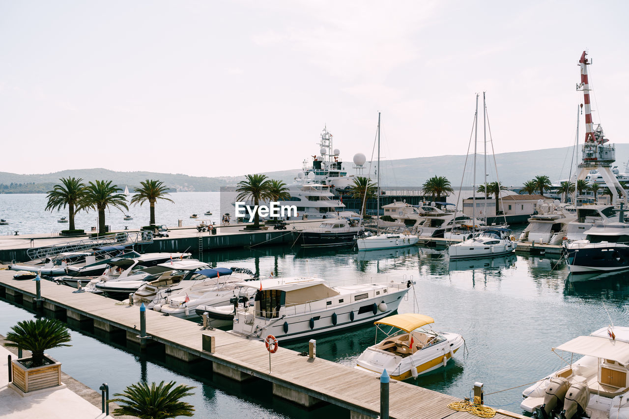 boats moored at harbor against clear sky