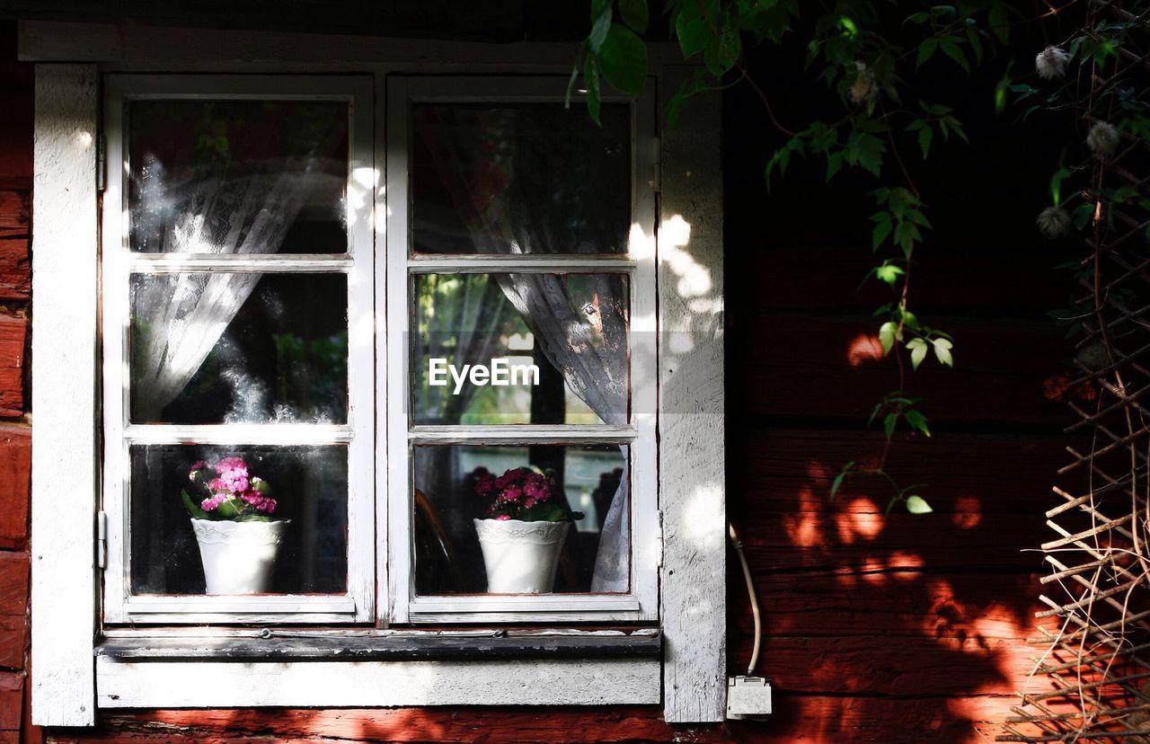 Potted flowers in window of old wooden house