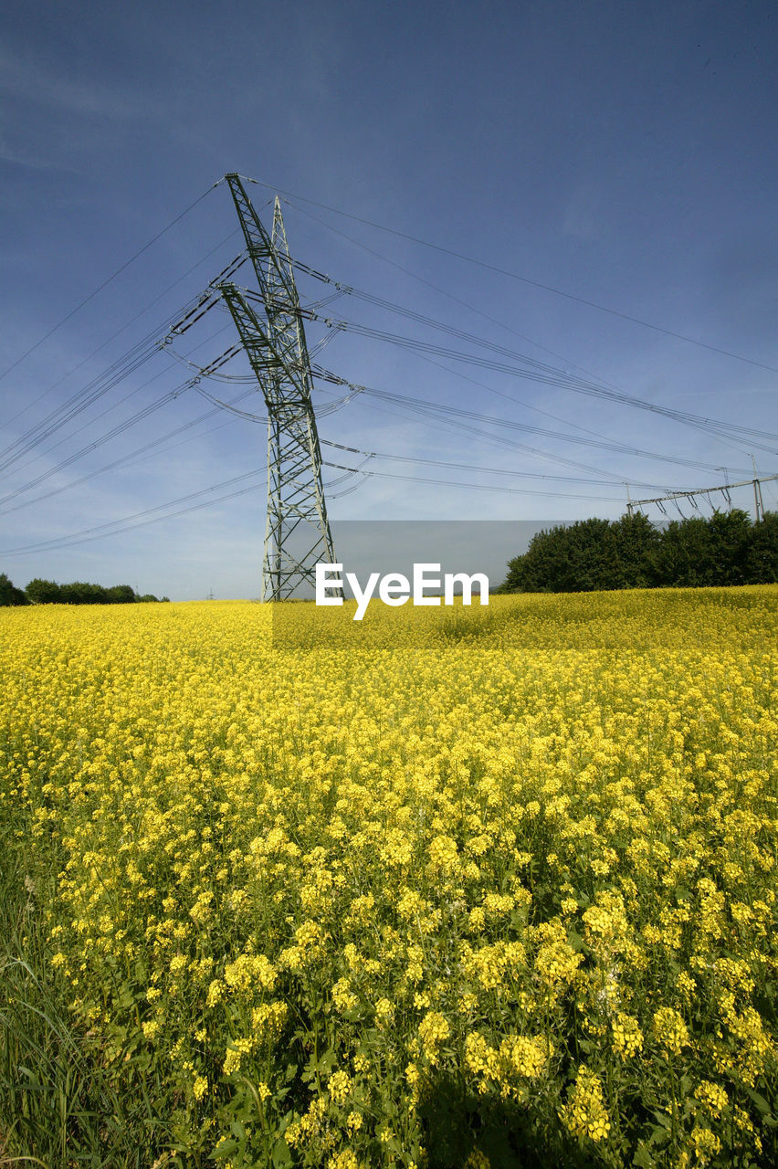 SCENIC VIEW OF FIELD AGAINST YELLOW SKY