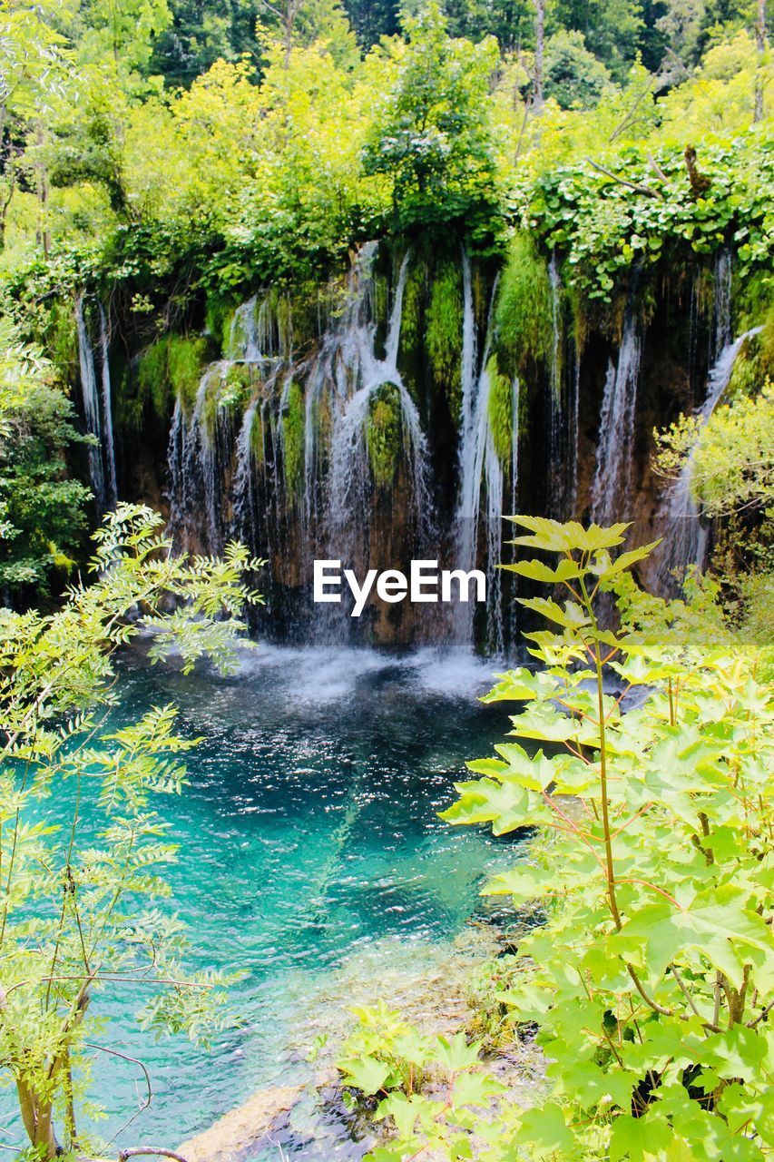 SCENIC VIEW OF WATERFALL AGAINST TREES