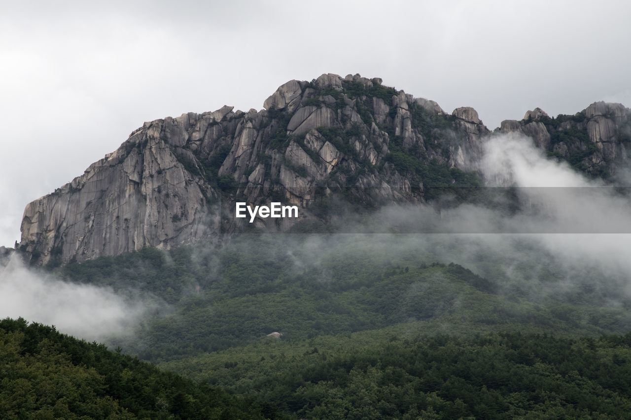 Scenic view of fogged mountain 