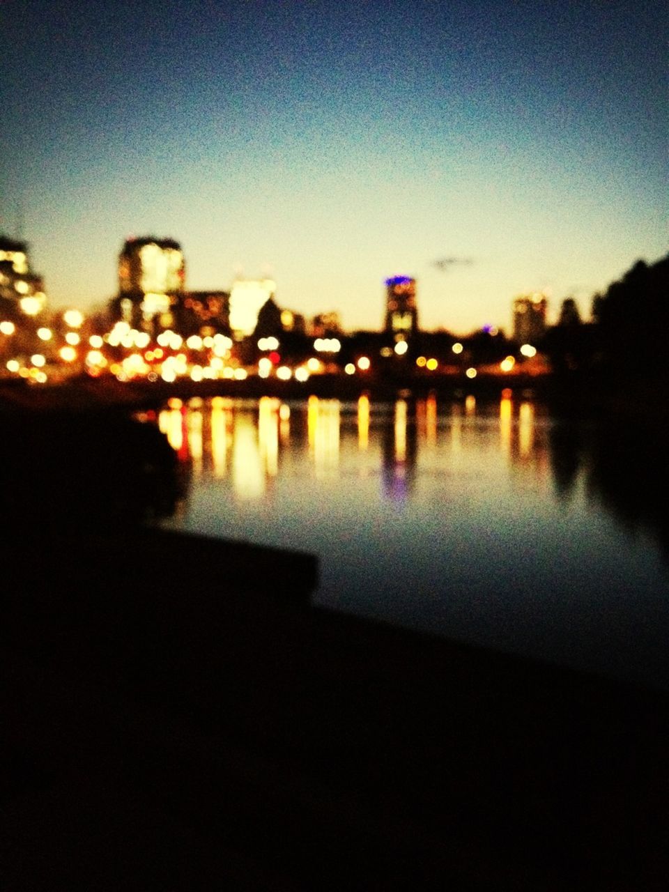 REFLECTION OF TREES IN WATER AT NIGHT