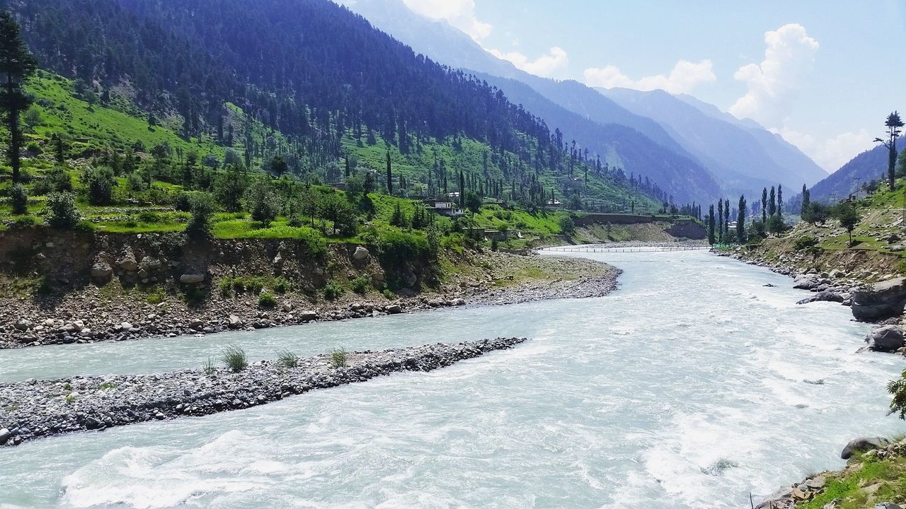 Scenic view of river in forest against sky