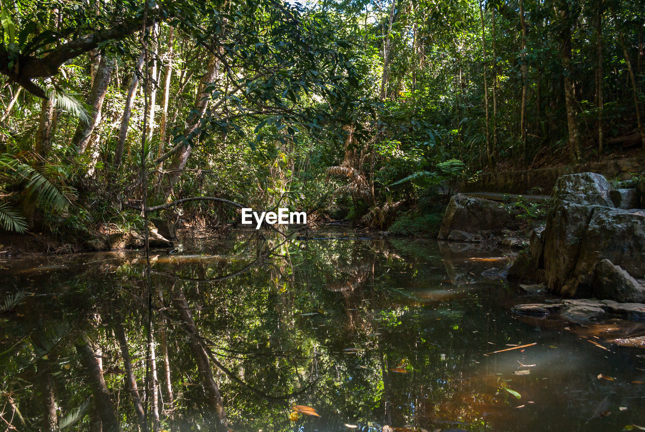 At the heart of the rainforest in the australian west coast.