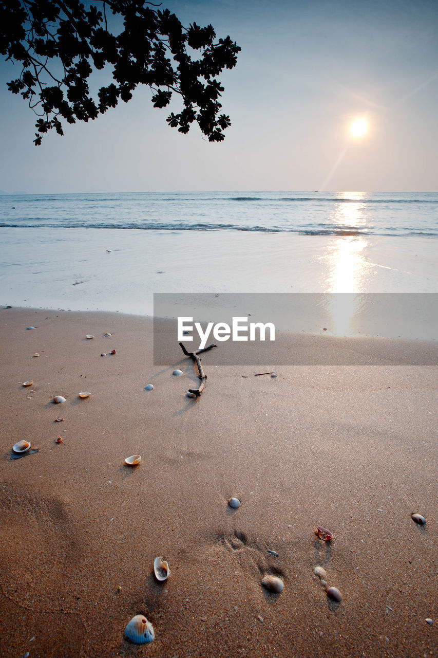 Scenic view of beach against sky during sunset