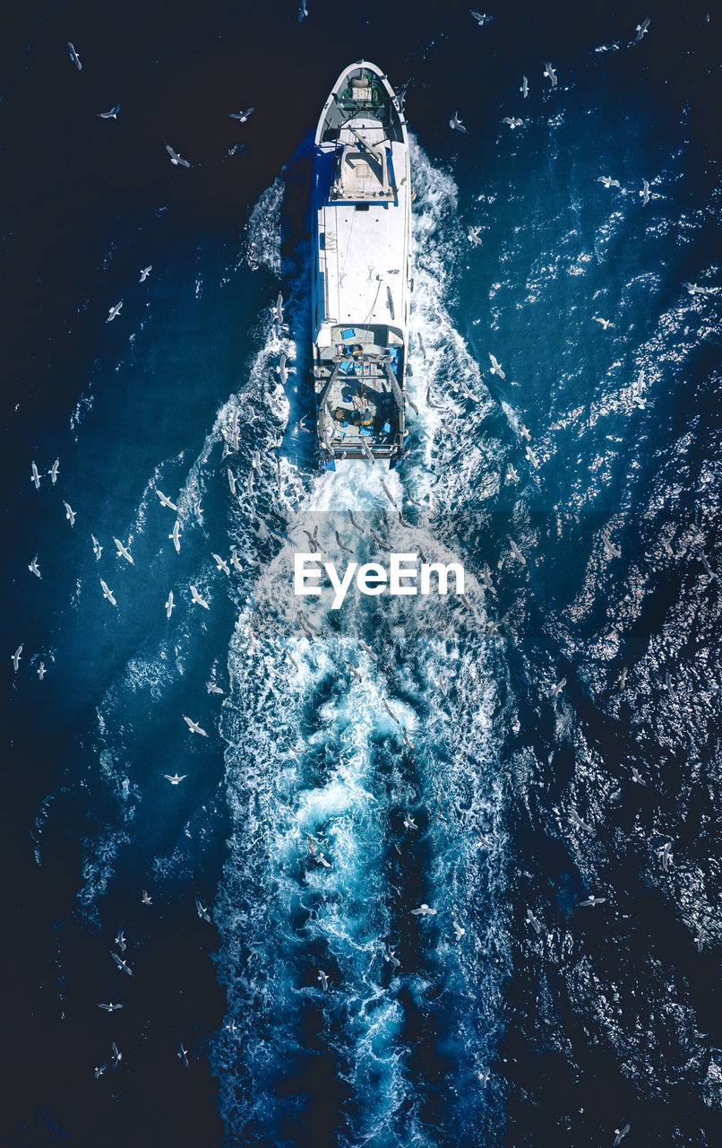 high angle view of boat in water