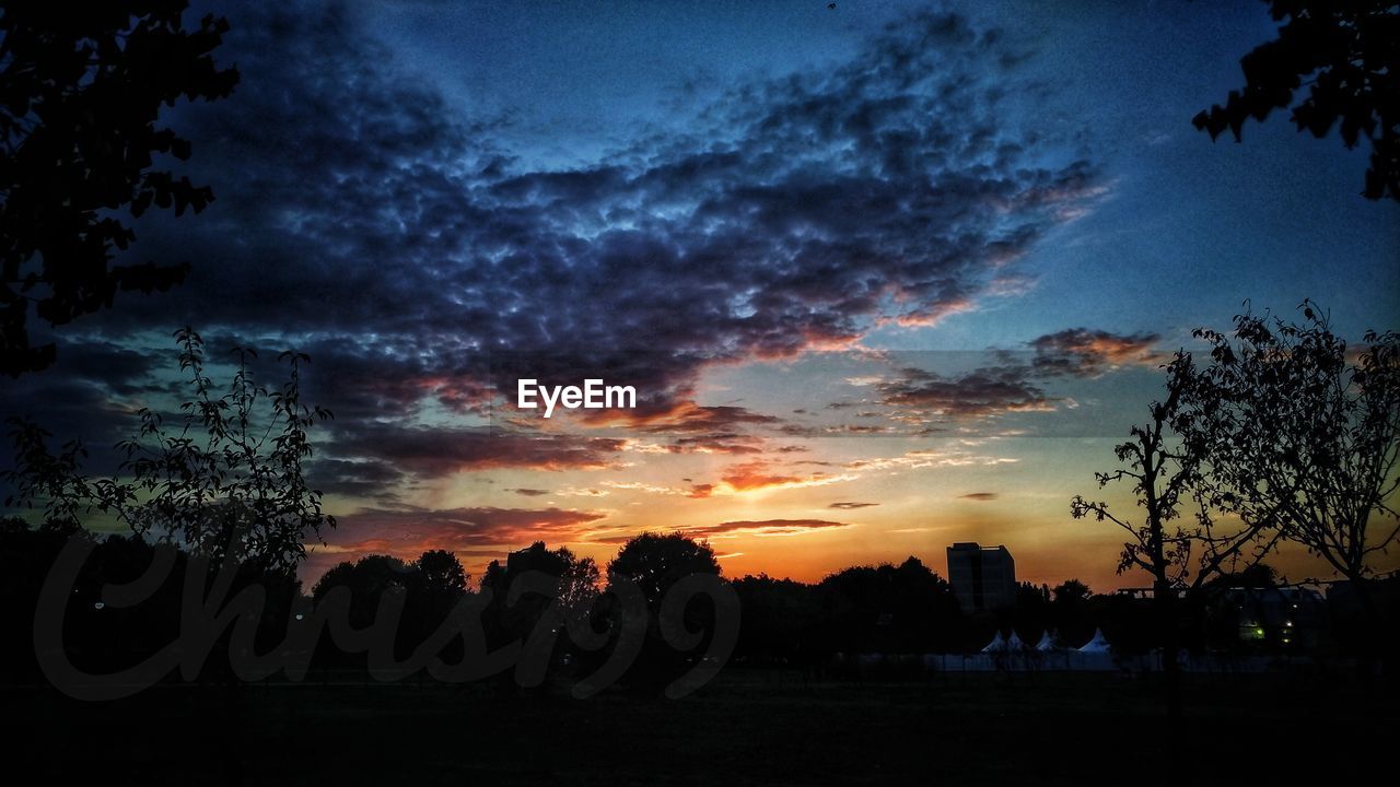 SILHOUETTE TREES ON FIELD AGAINST SKY AT DUSK