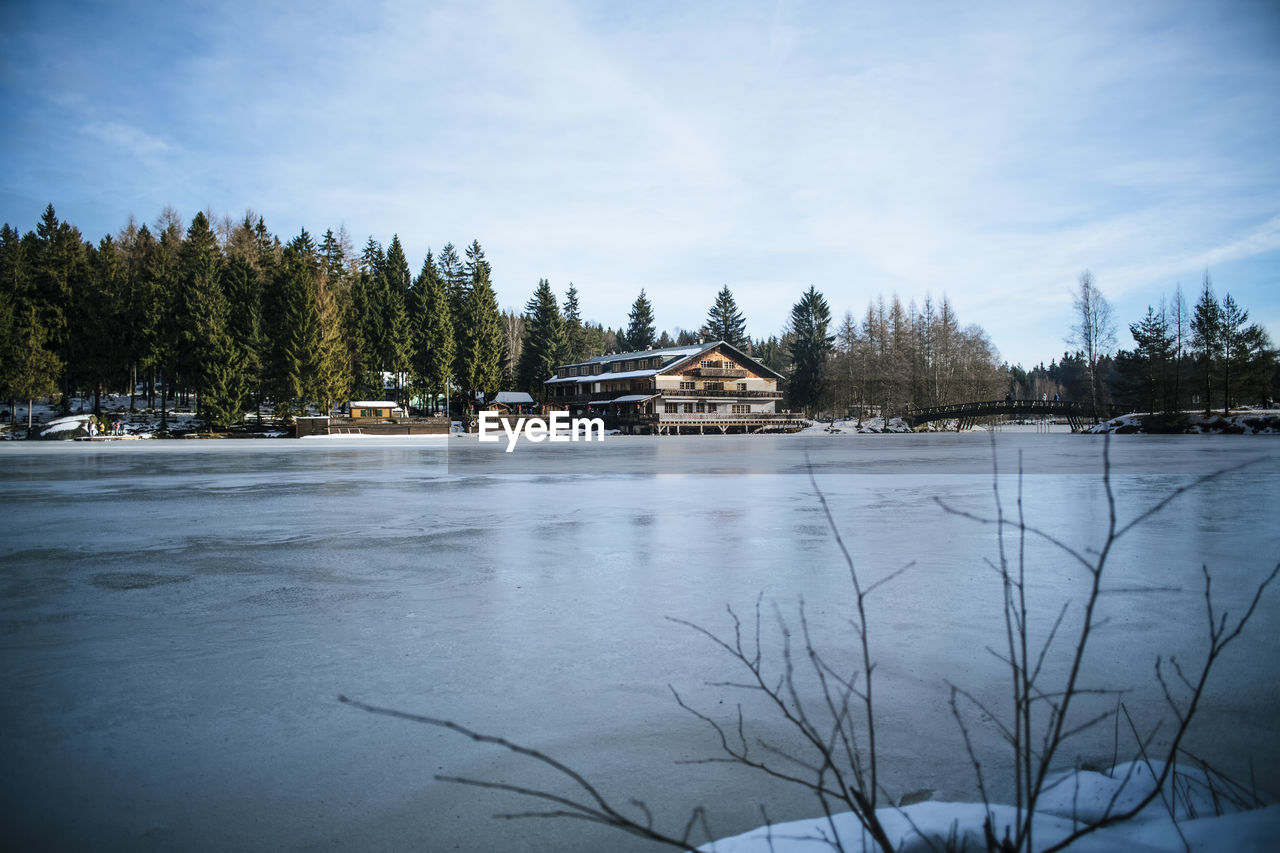 FROZEN LAKE BY TREES AGAINST SKY