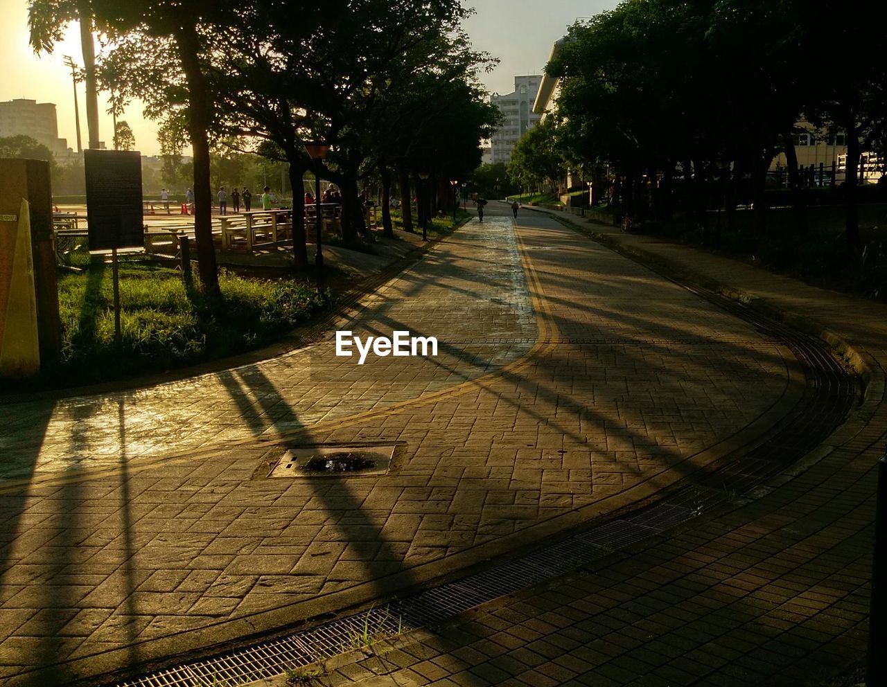 Street by trees in city