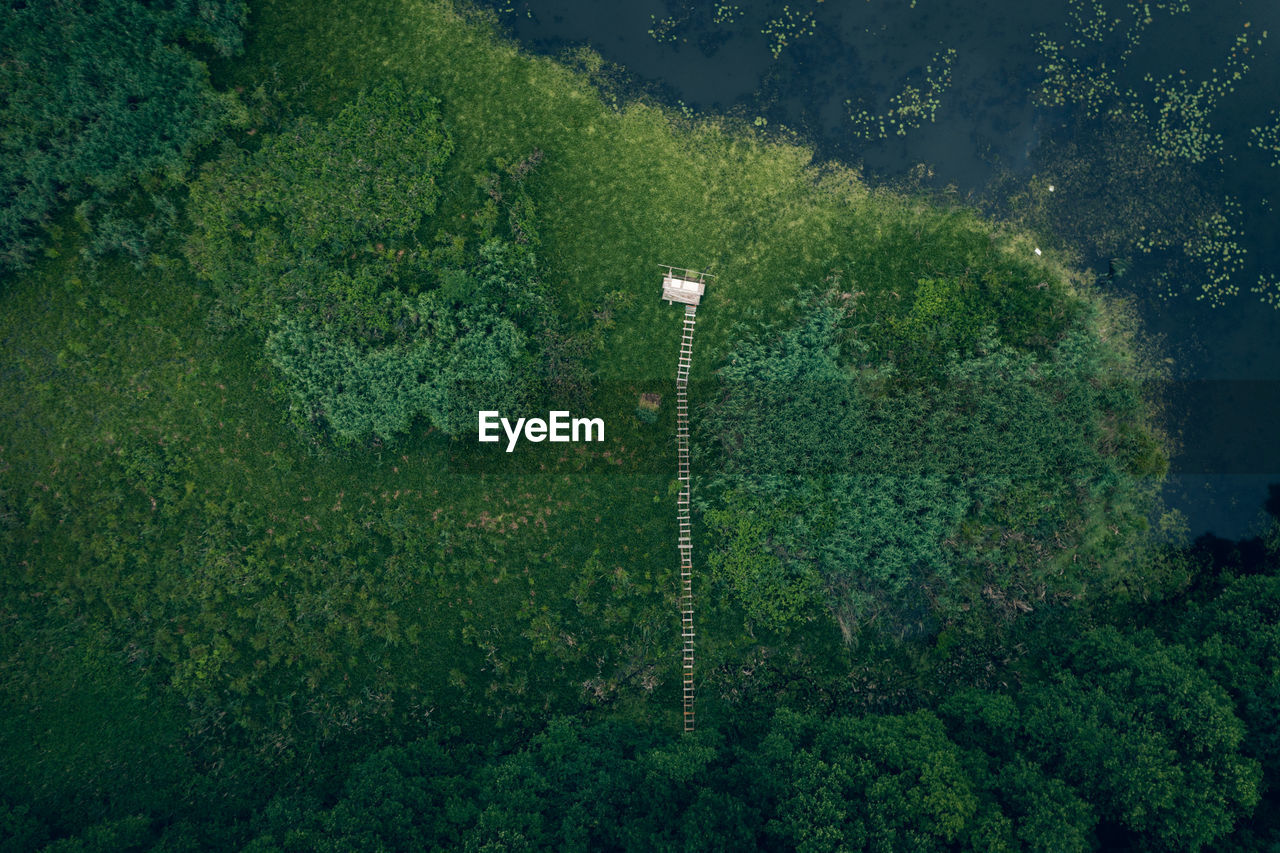 Aerial view of green forest, blue lake and wooden pier