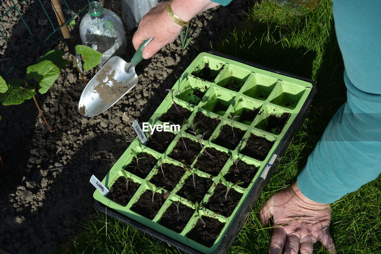 soil, green, growth, one person, plant, nature, hand, gardening, adult, planting, agriculture, garden, high angle view, dirt, holding, day, lifestyles, food and drink, occupation, leisure activity, beginnings, men, outdoors, food, freshness, leaf, seedling, organic