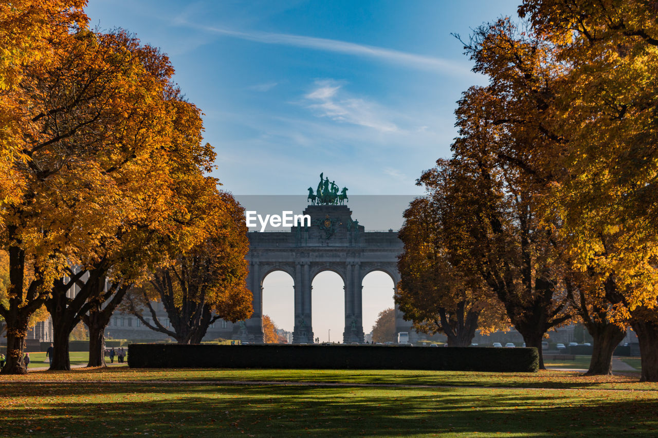 Trees in cinquantenaire