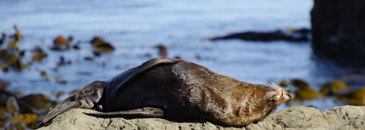 Seal on rock formation