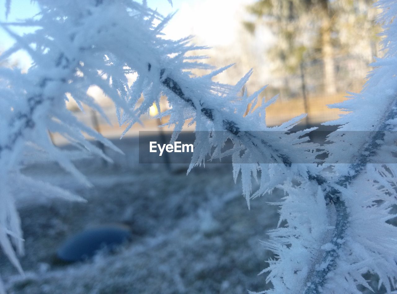 Close-up of frost on chainlink fence during winter