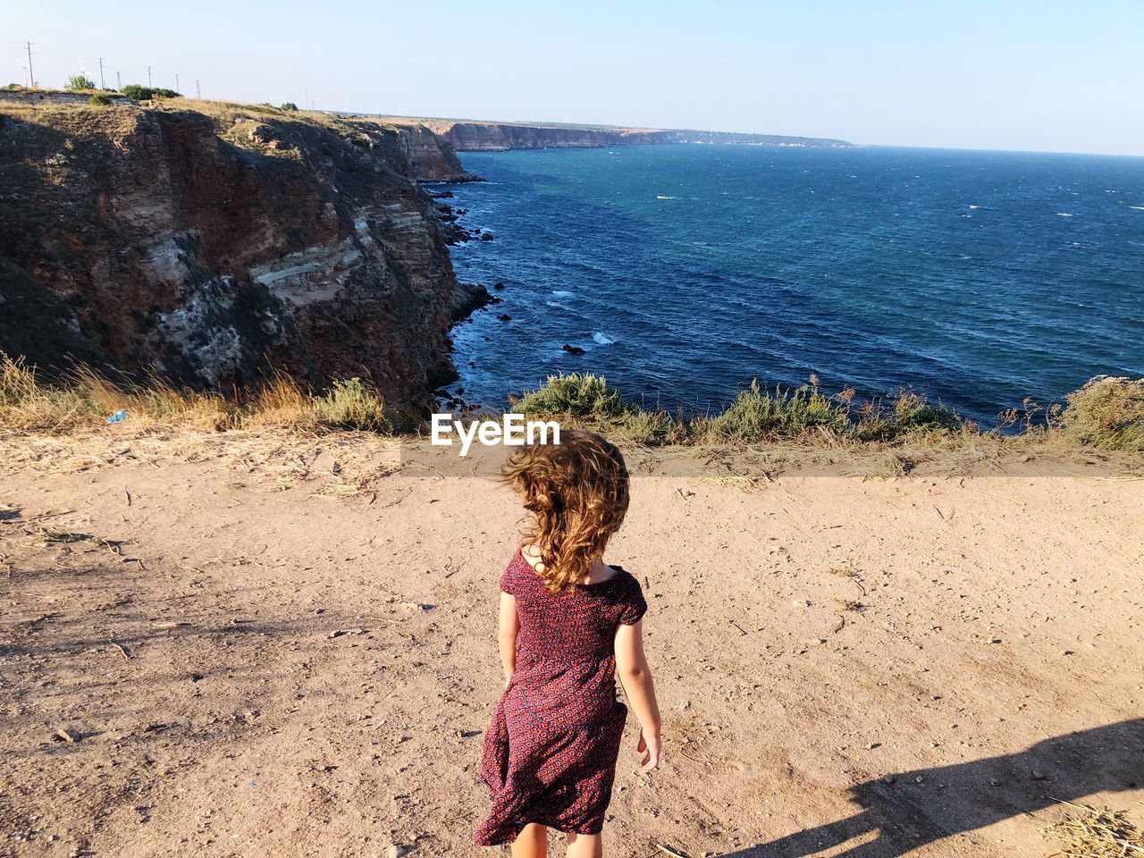 Rear view of girl standing at beach