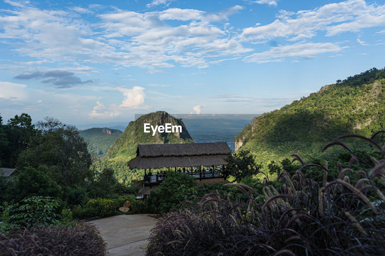 TREES ON LANDSCAPE AGAINST SKY