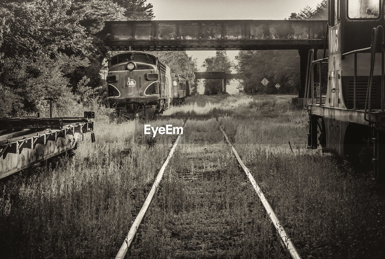 Abandoned trains on railroad track