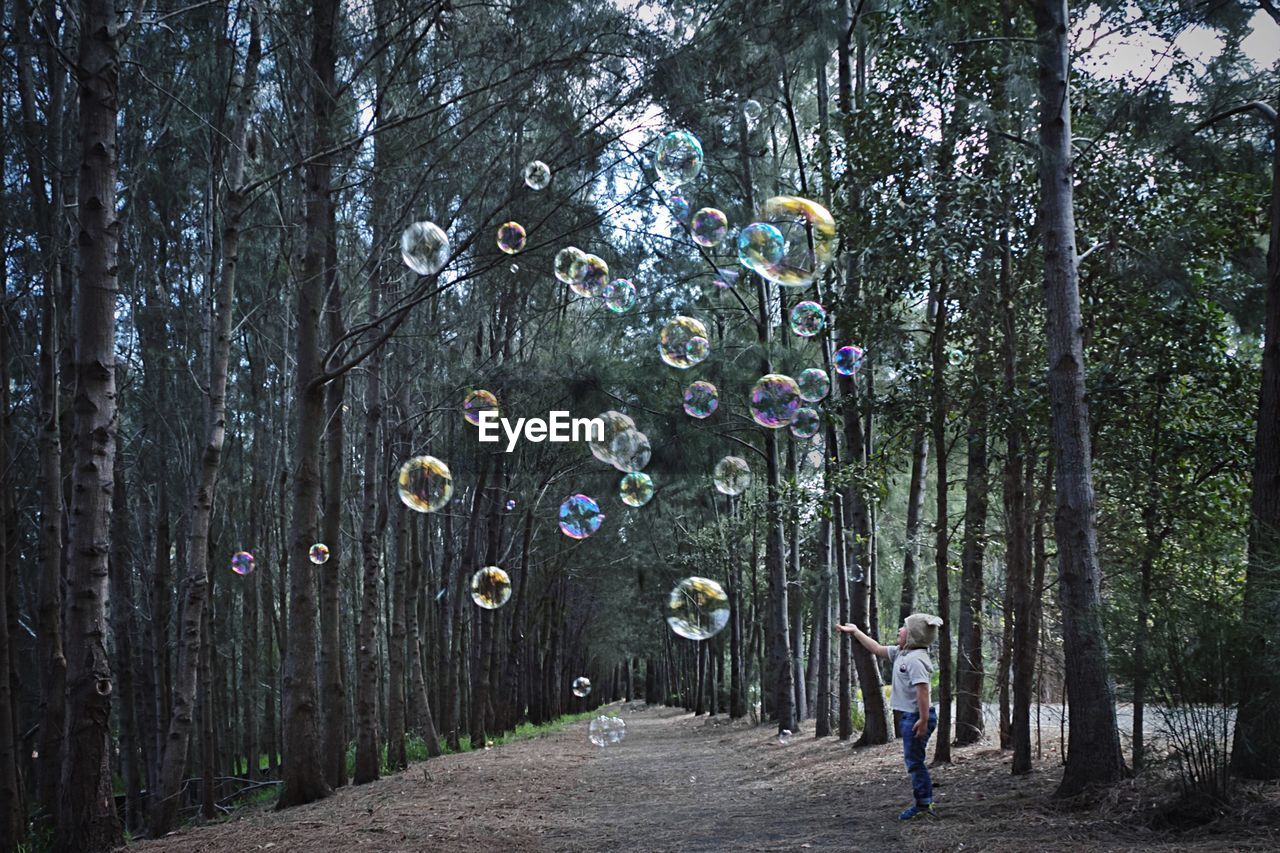 Child standing on footpath by bubbles in mid-air in forest