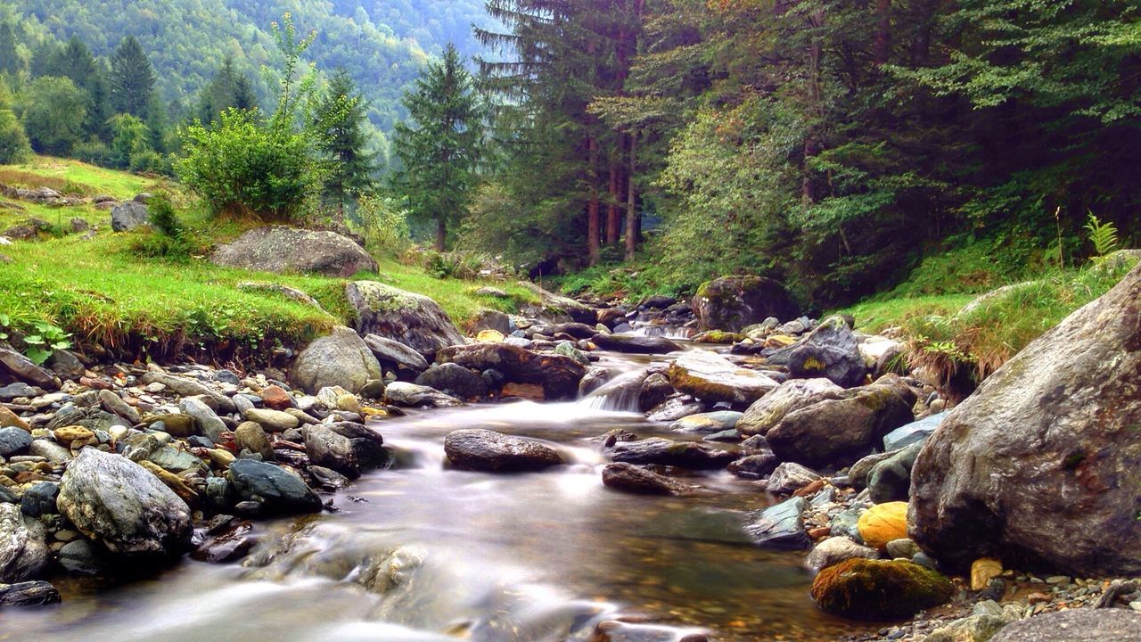 SCENIC VIEW OF RIVER FLOWING THROUGH ROCKS