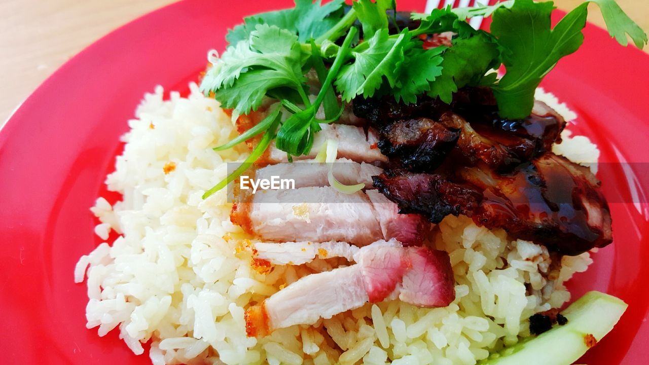 CLOSE-UP OF SALAD IN CONTAINER