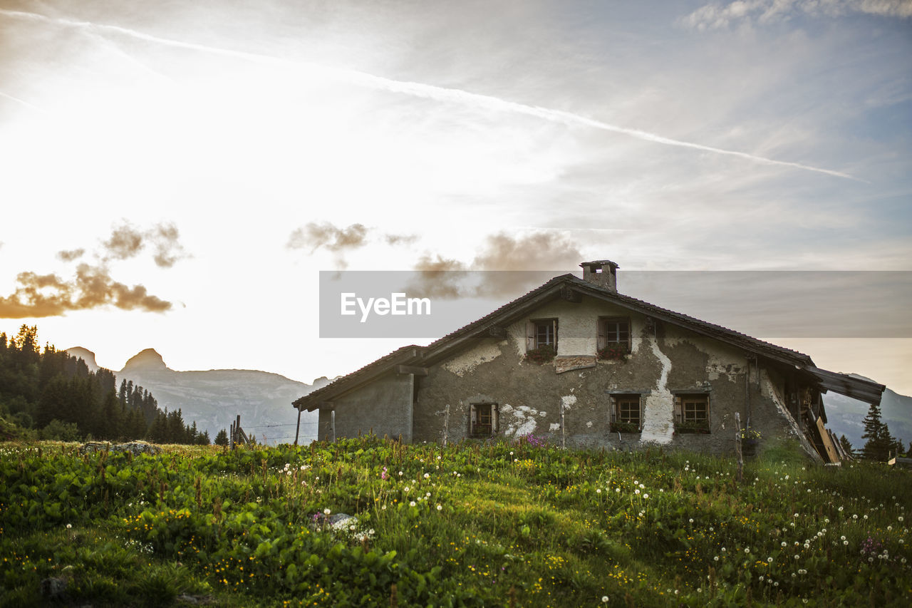 House by trees against sky