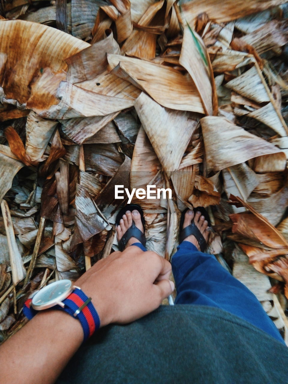 Low section of man standing on autumn leaves