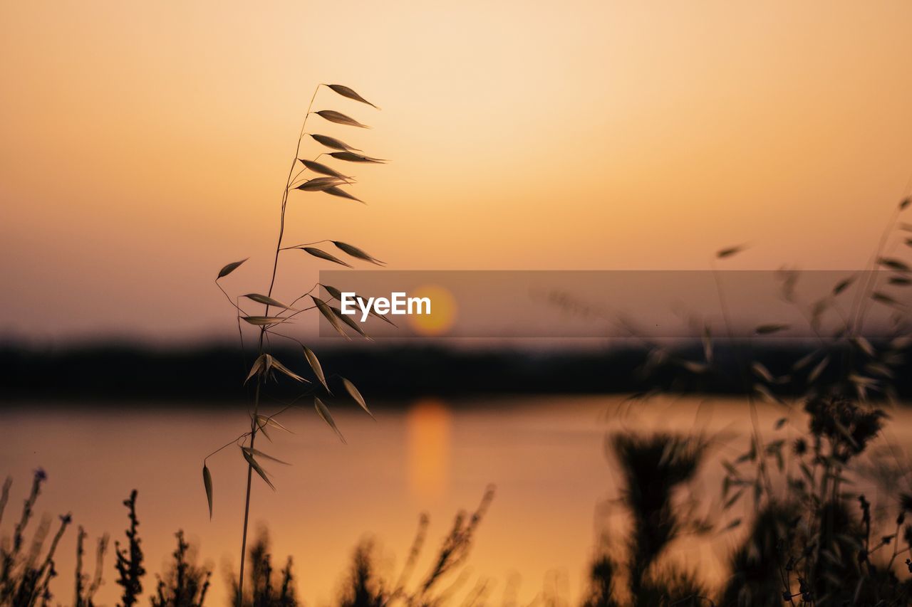 Scenic view of lake against orange sky