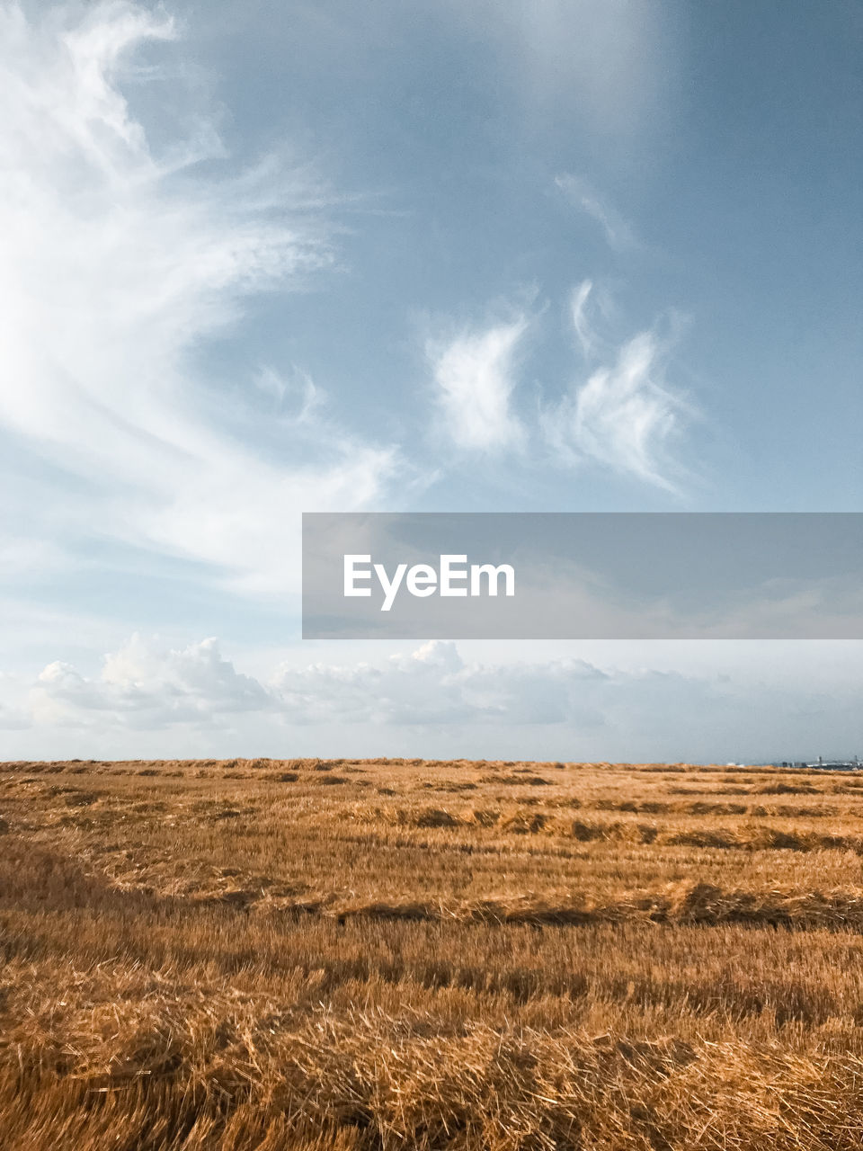 FIELD AGAINST SKY