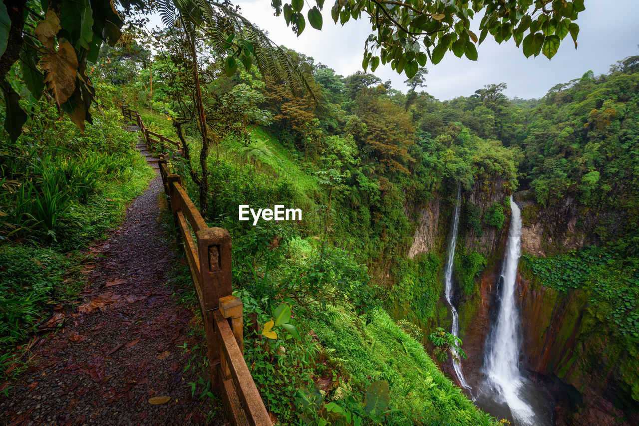 SCENIC VIEW OF WATERFALL AT FOREST