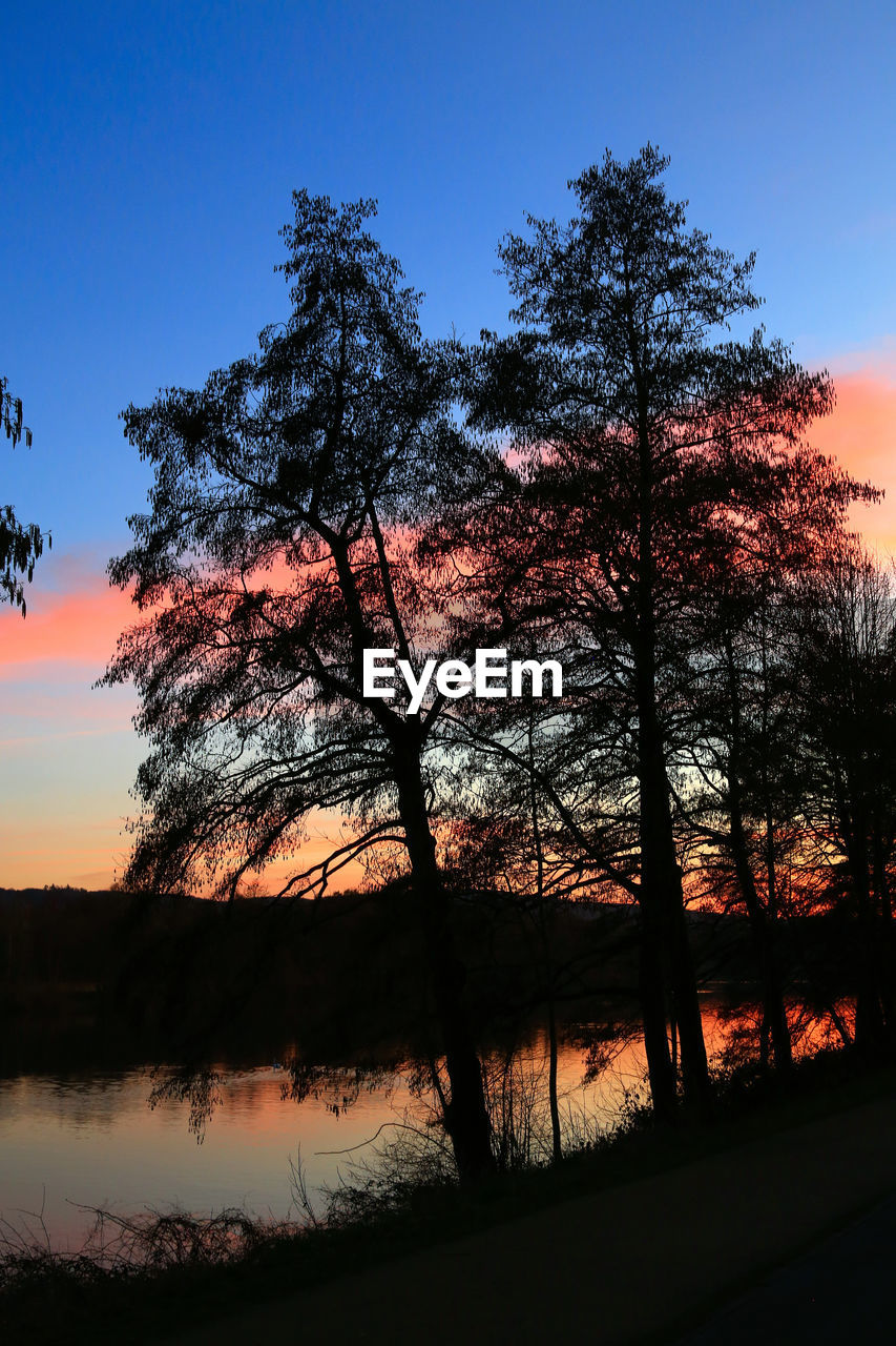 SILHOUETTE TREES BY LAKE DURING SUNSET