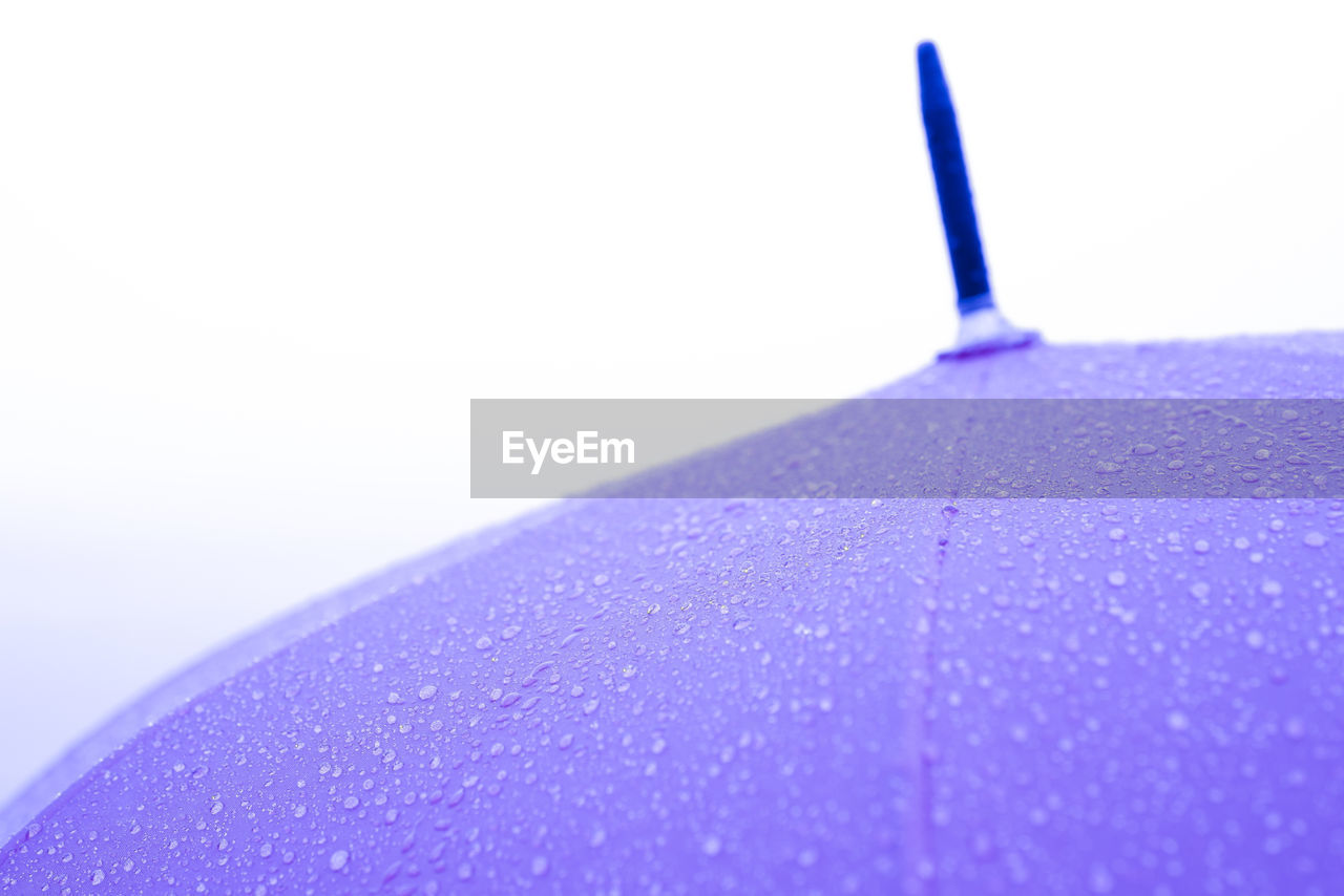 CLOSE-UP OF WATER DROPS ON BLUE BACKGROUND