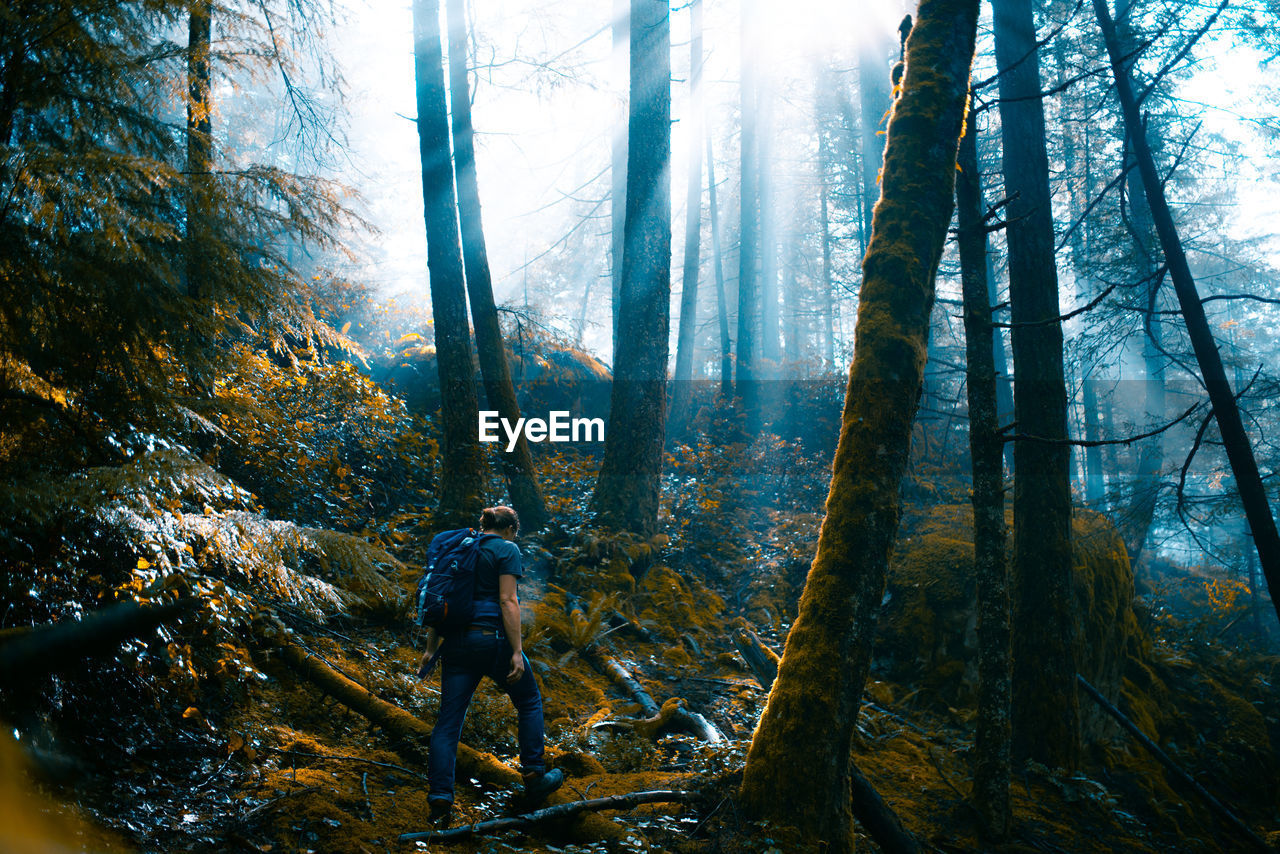 Man hiking in forest