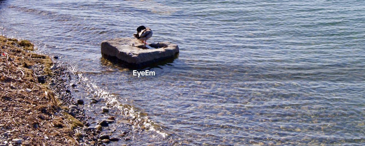 HIGH ANGLE VIEW OF MAN SITTING ON BOAT