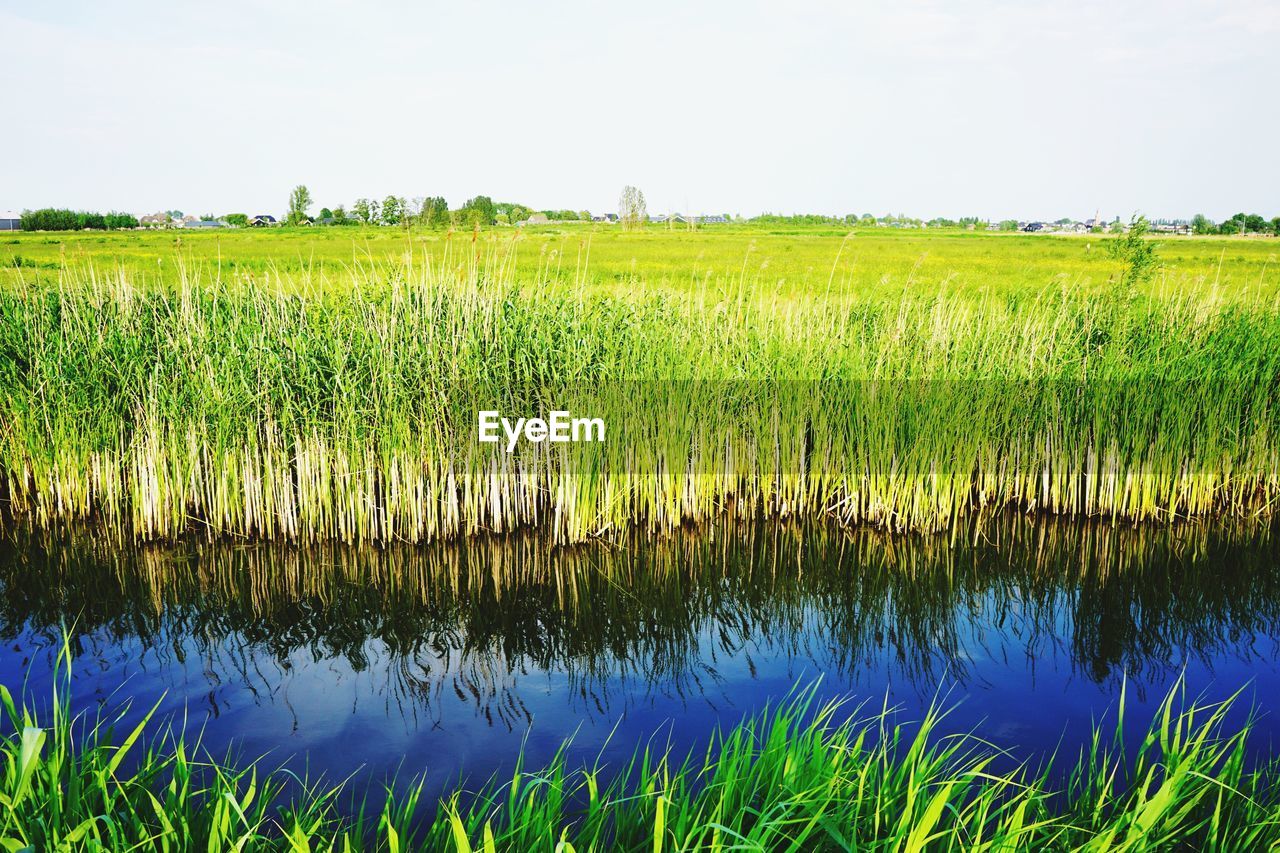 SCENIC VIEW OF FARM AGAINST SKY