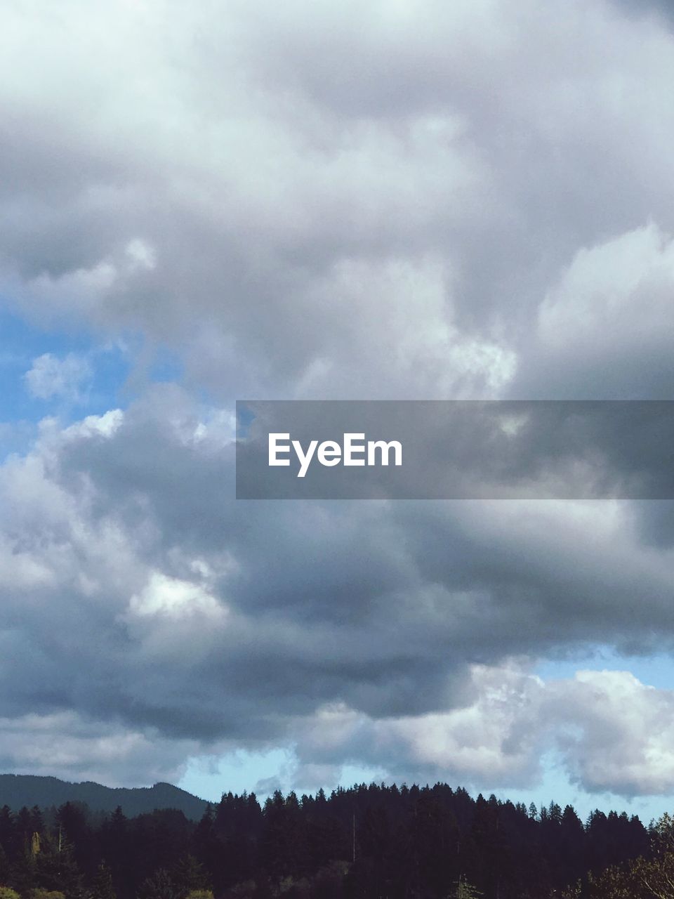 LOW ANGLE VIEW OF STORM CLOUDS