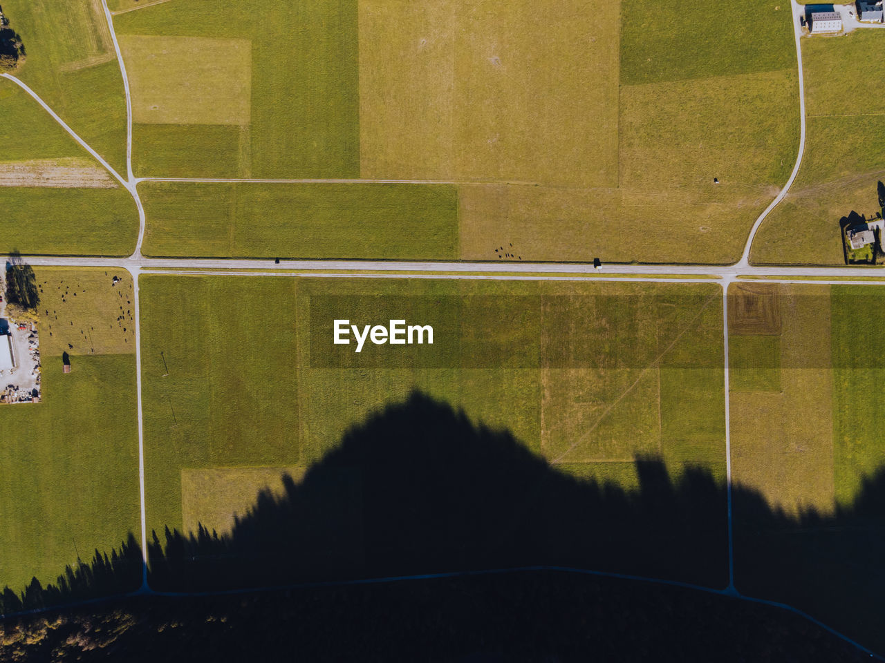 High angle view of field