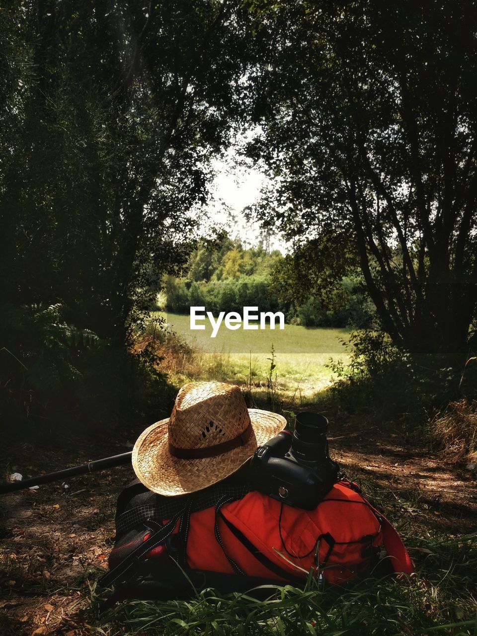 REAR VIEW OF PERSON RELAXING ON FIELD IN FOREST