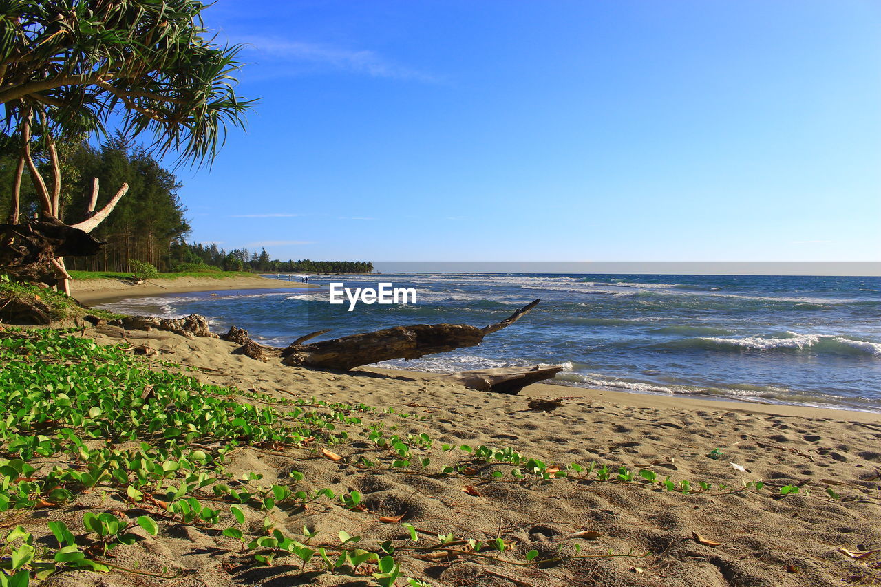 Scenic view of beach against blue sky