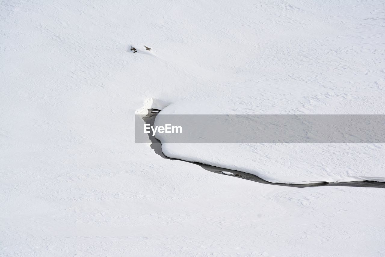 HIGH ANGLE VIEW OF CROCODILE IN WINTER