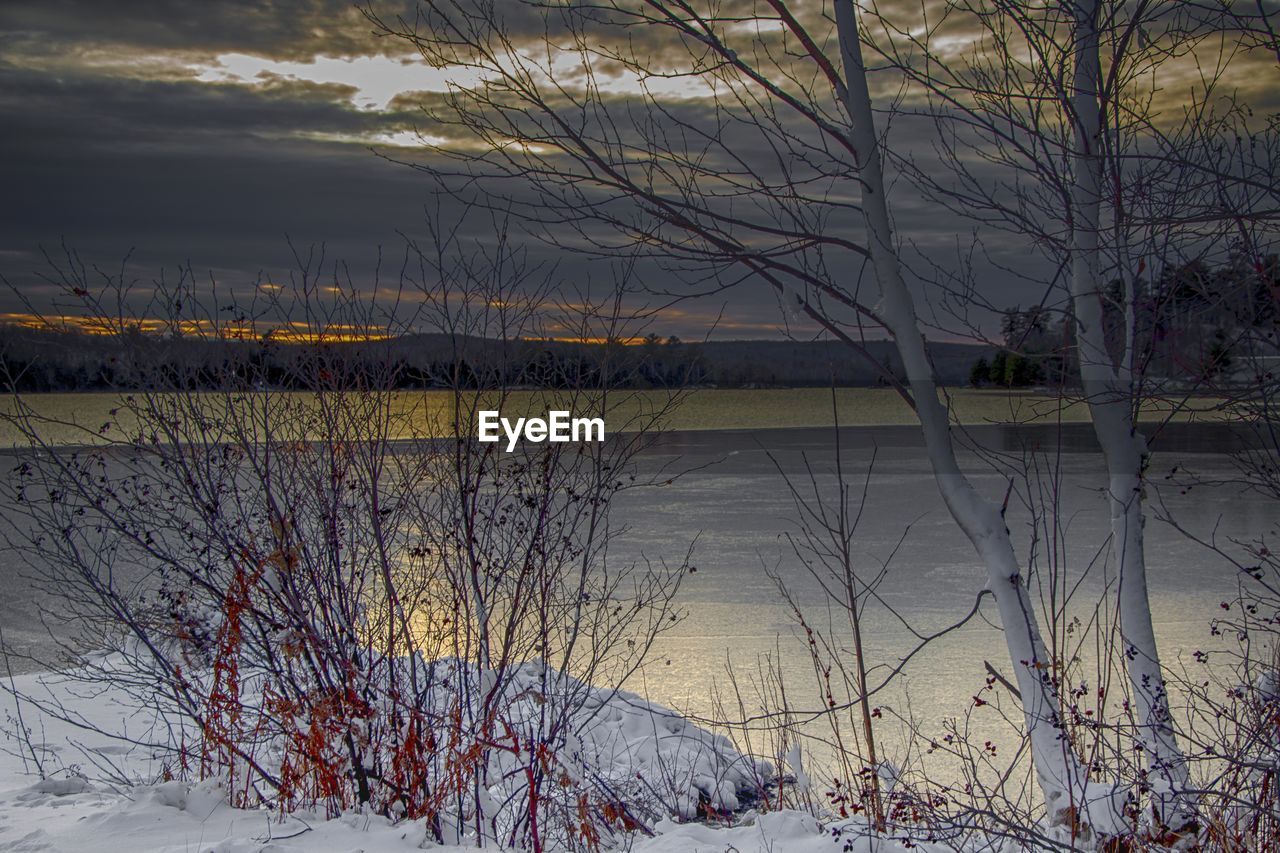 BARE TREES BY LAKE AGAINST SKY DURING SUNSET
