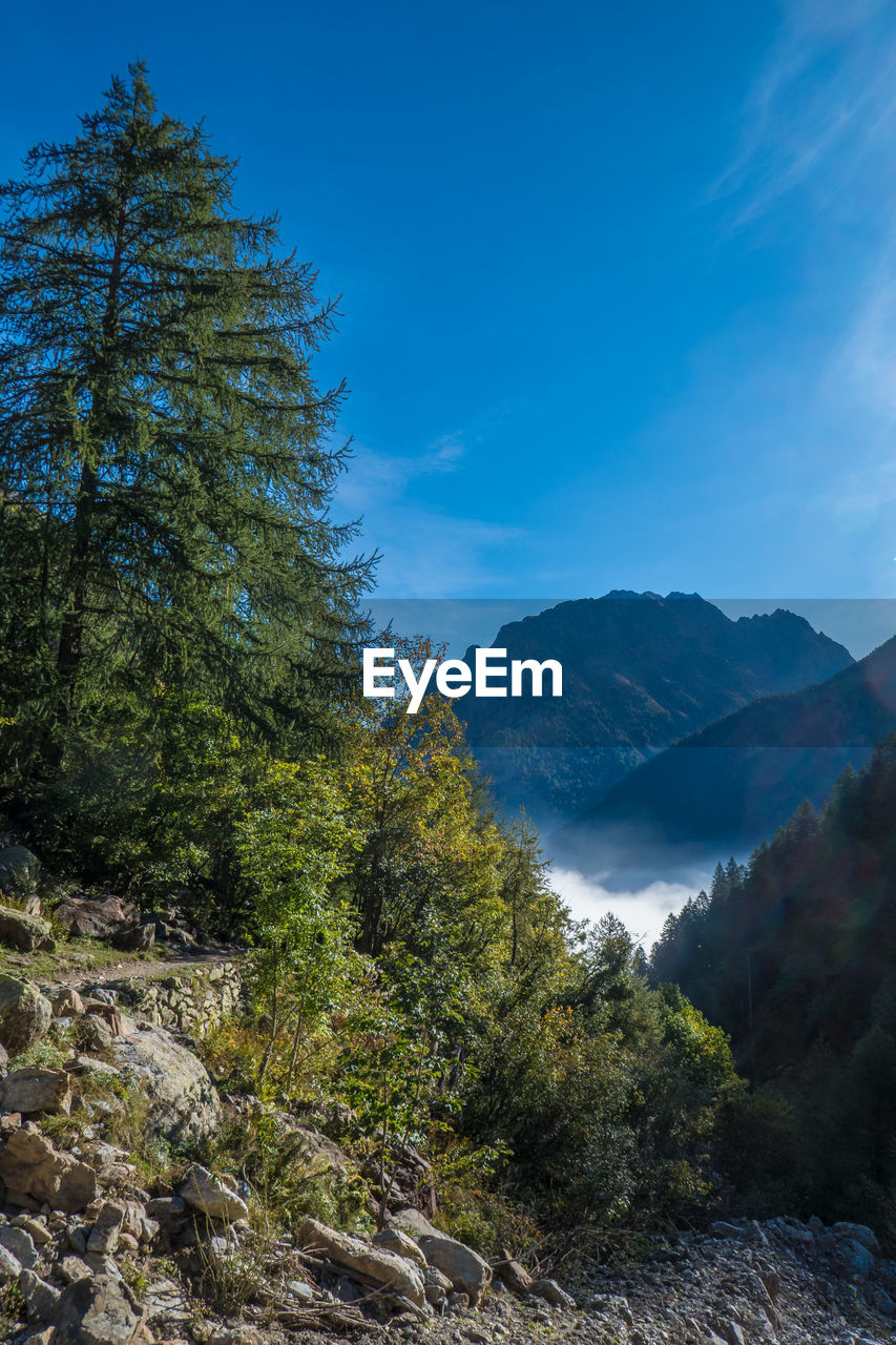 Scenic view of mountains against blue sky