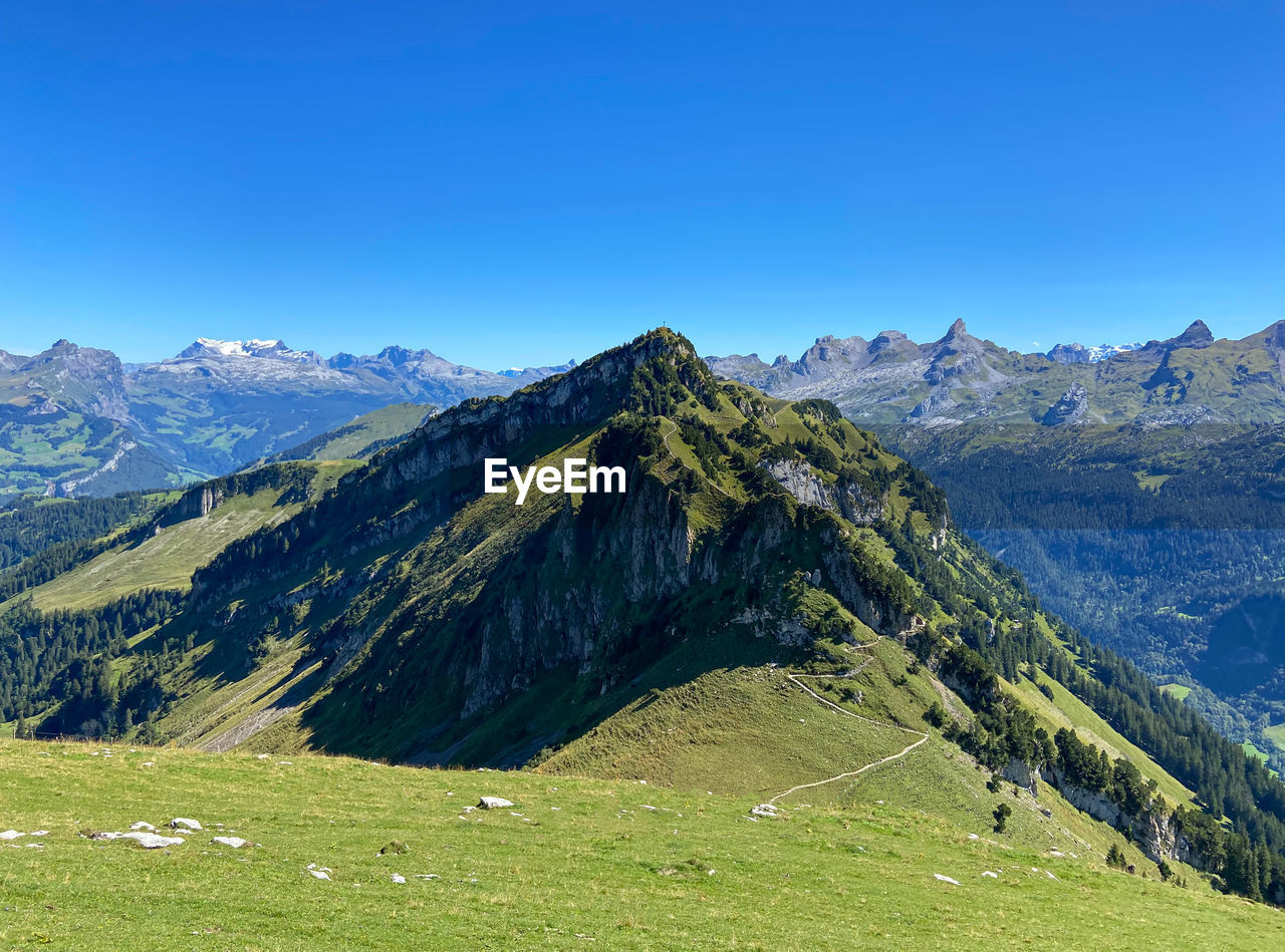 Klingenstock