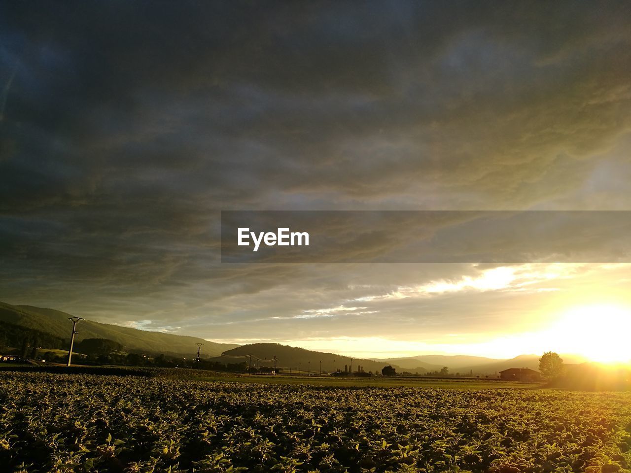 AGRICULTURAL FIELD AGAINST SKY DURING SUNSET