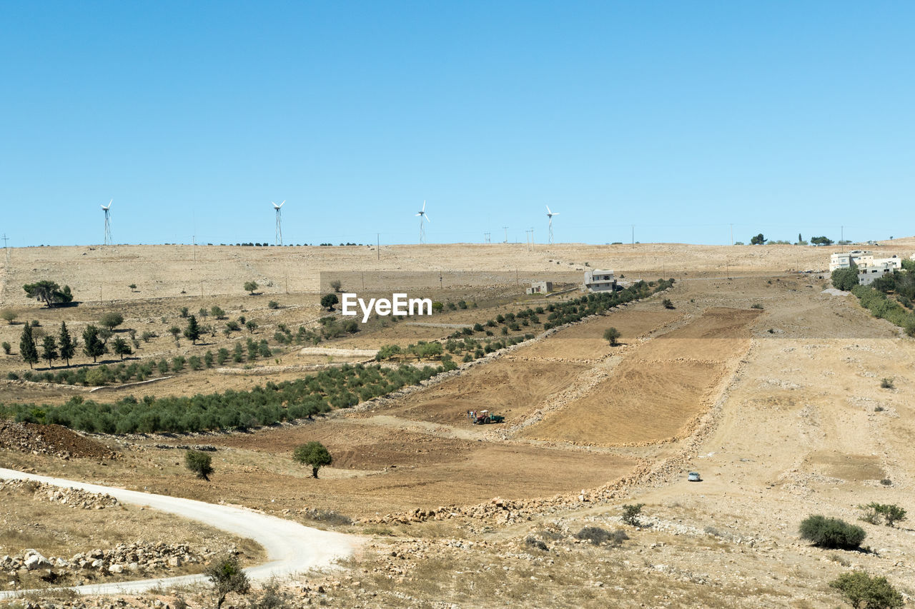 Scenic view of field against clear blue sky