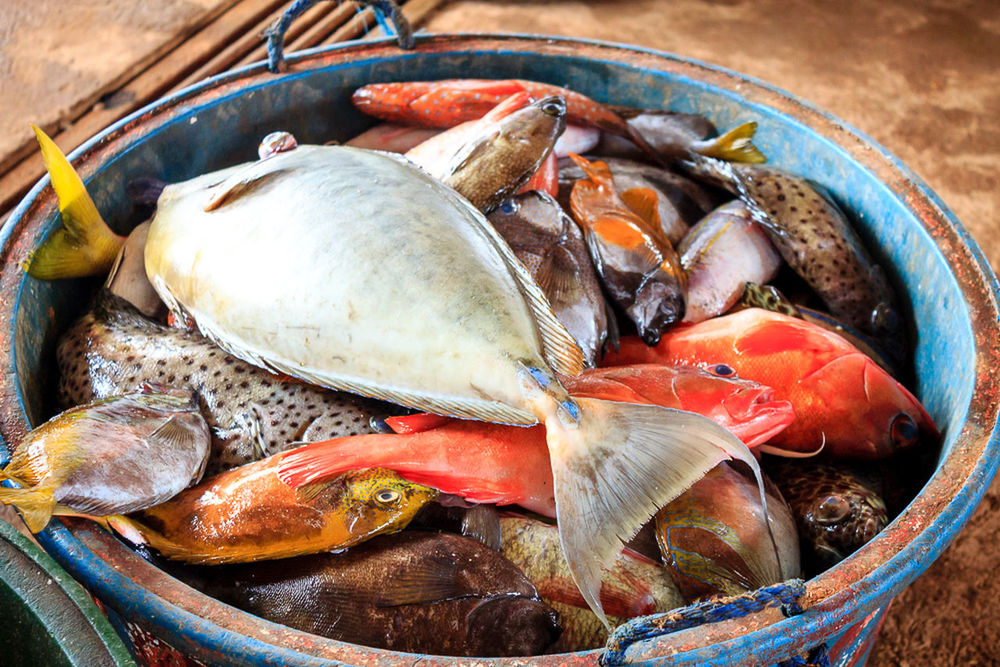 FISH ON TABLE