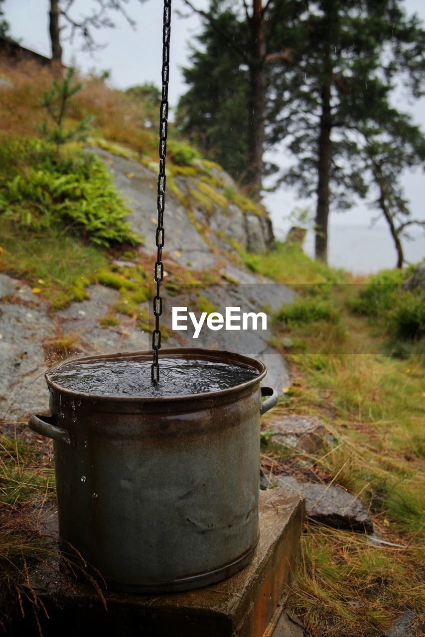 Water in container with trees on landscape in distance