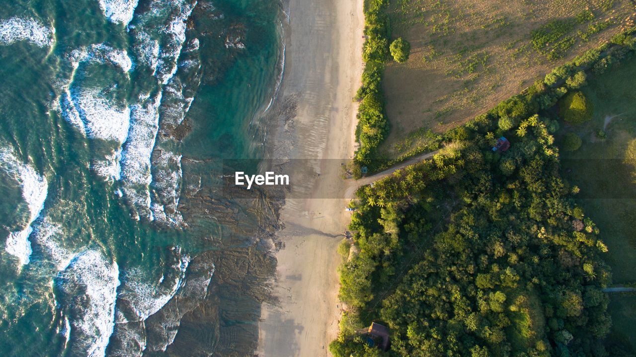 Scenic view of sea against trees