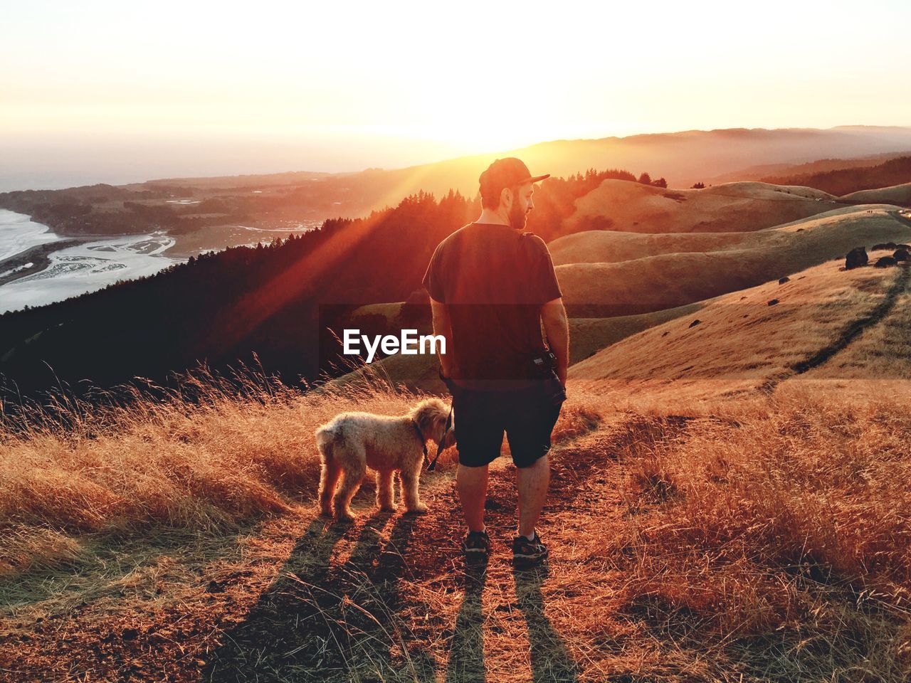 Rear view of man standing with dog on hill during sunset