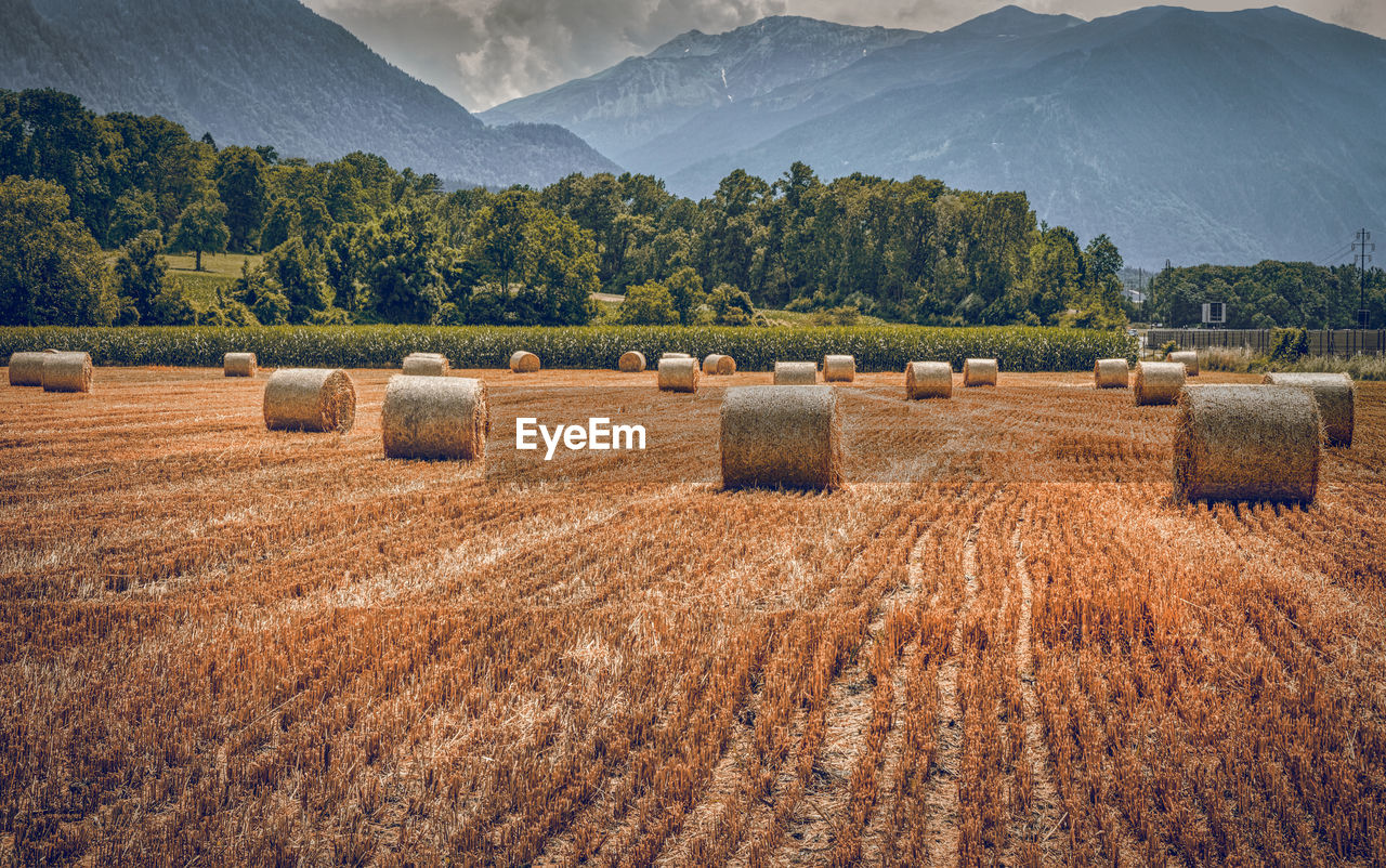 Hay bales on field against sky